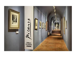 Picasso LIFE: Výstava prodloužena do konce roku 2026