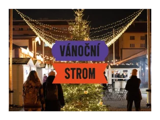 Tržnice hledá návrhy na vánoční strom 2026!