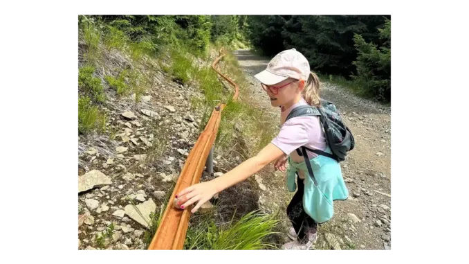 Kůrovec a stezka na Dolní Moravě s kuličkodráhou
